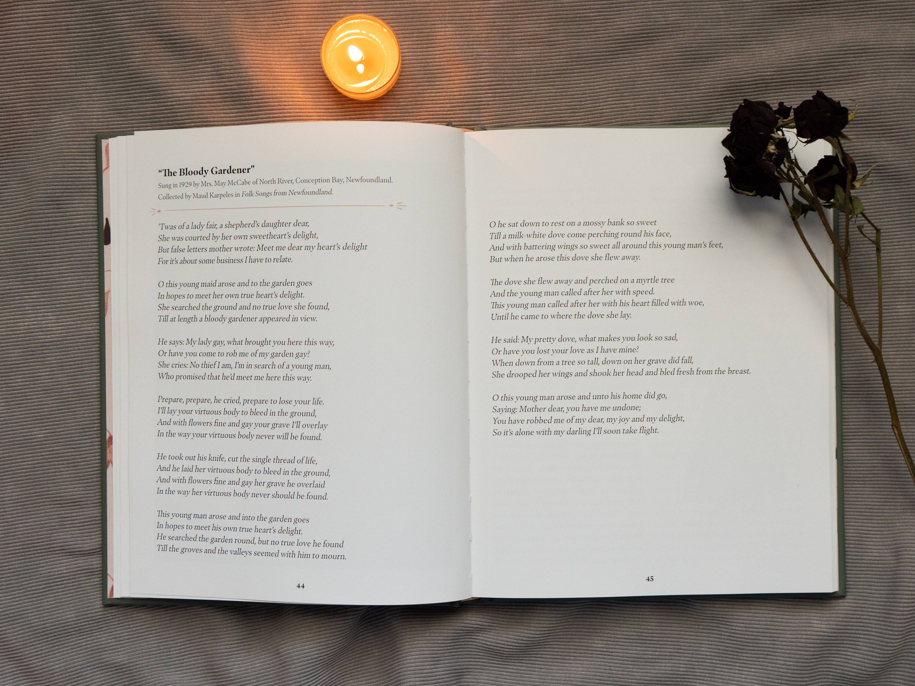 Murder Ballads: Illustrated Lyrics & Lore