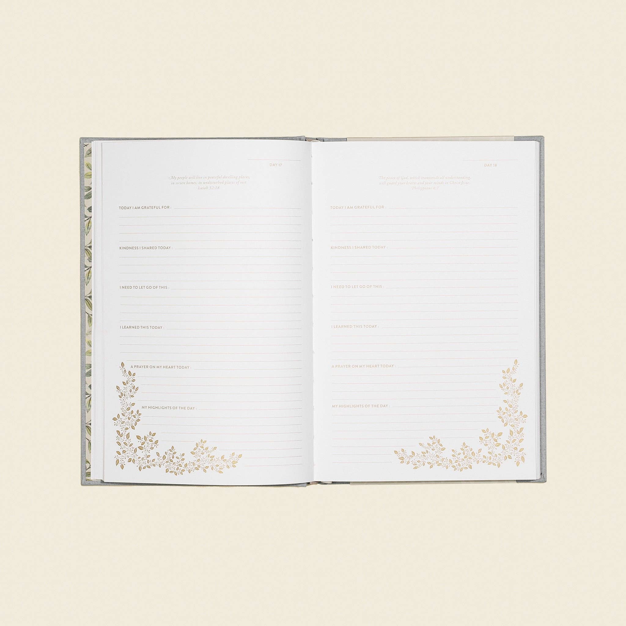 More Than Gratitude: 100 Days of Cultivating Deep Roots of Gratitude through Guided Journaling, Prayer, and Scripture (Heirloom Story Books and Guided Journals)