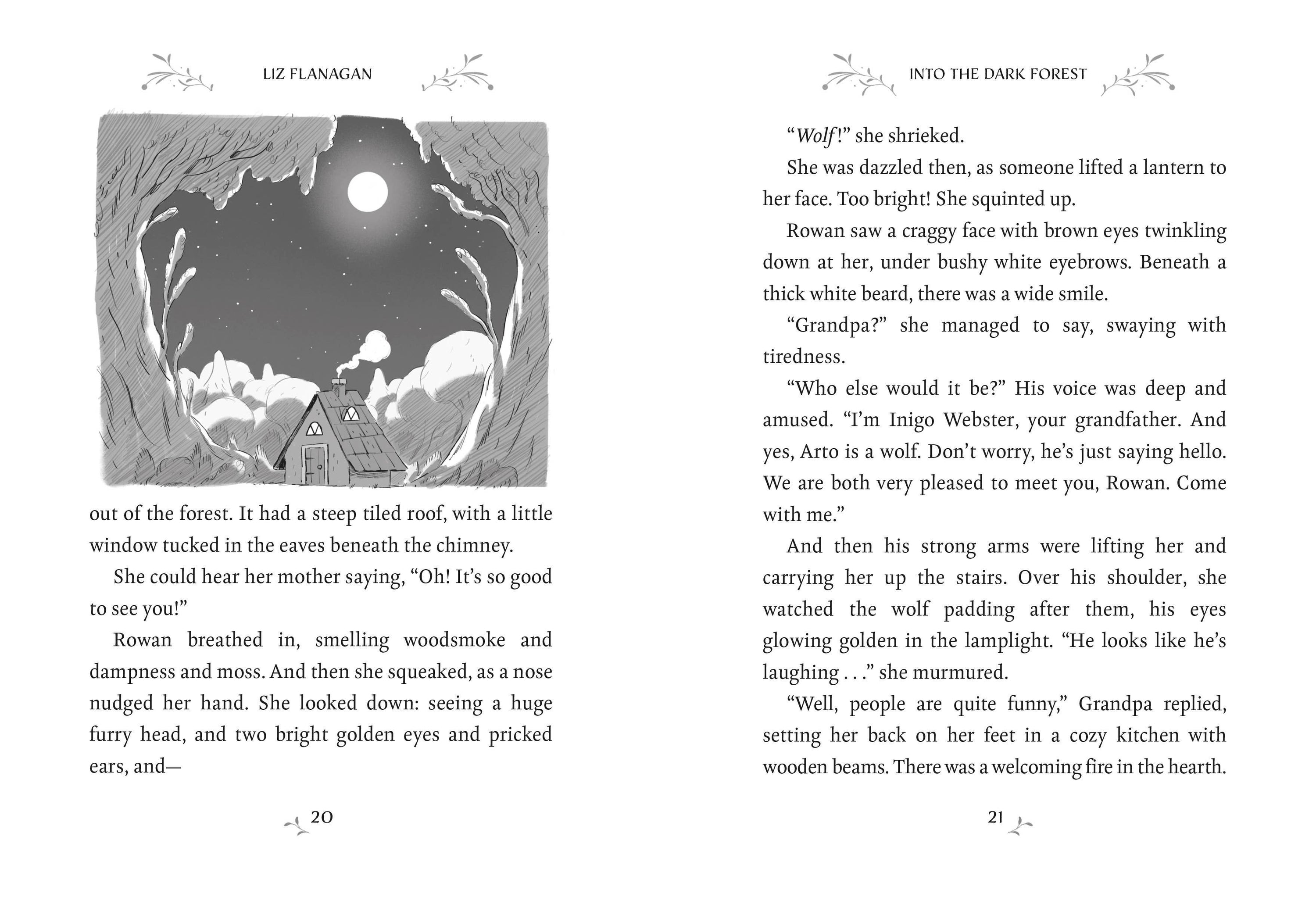 Into the Dark Forest: The Wildsmith #1