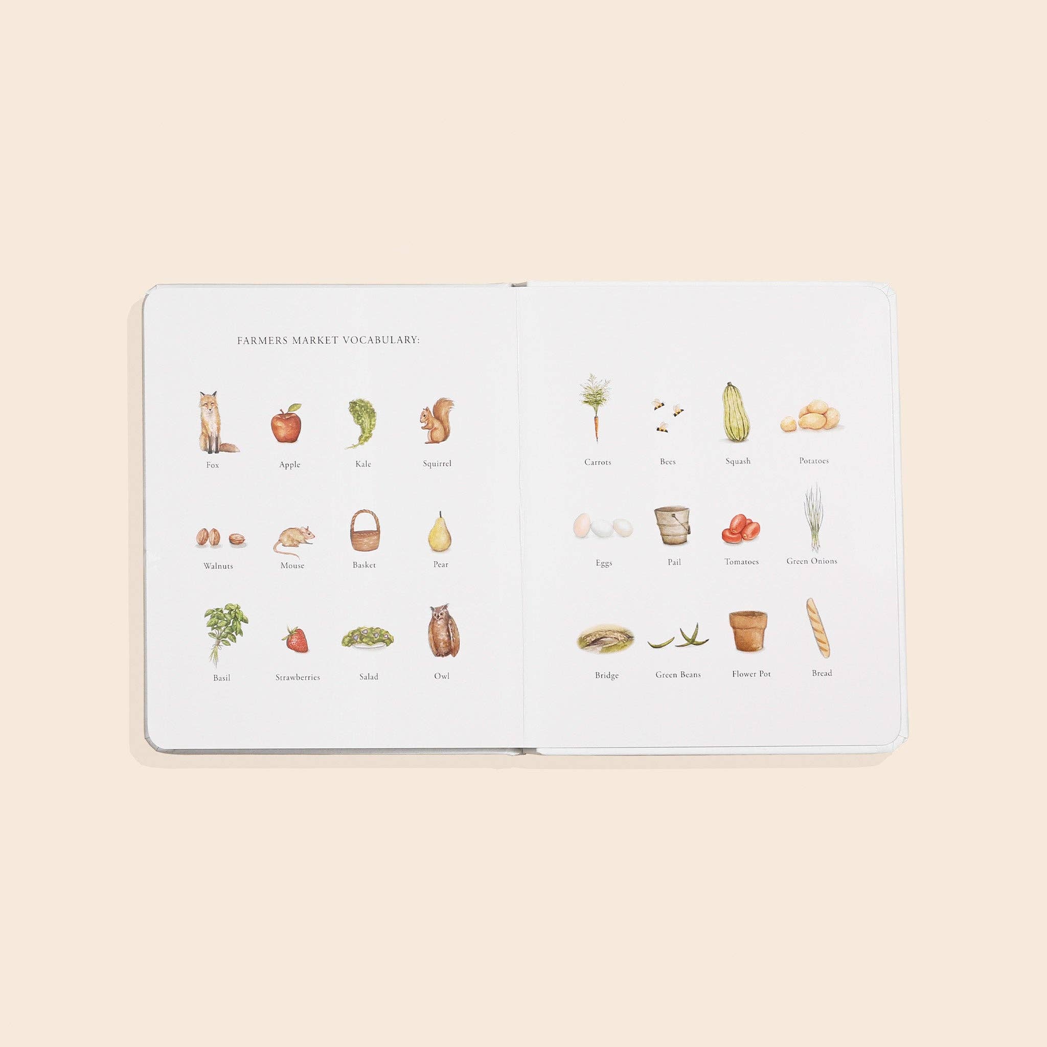 Our Little Adventure to the Farmers Market (Our Little Adventures Series)