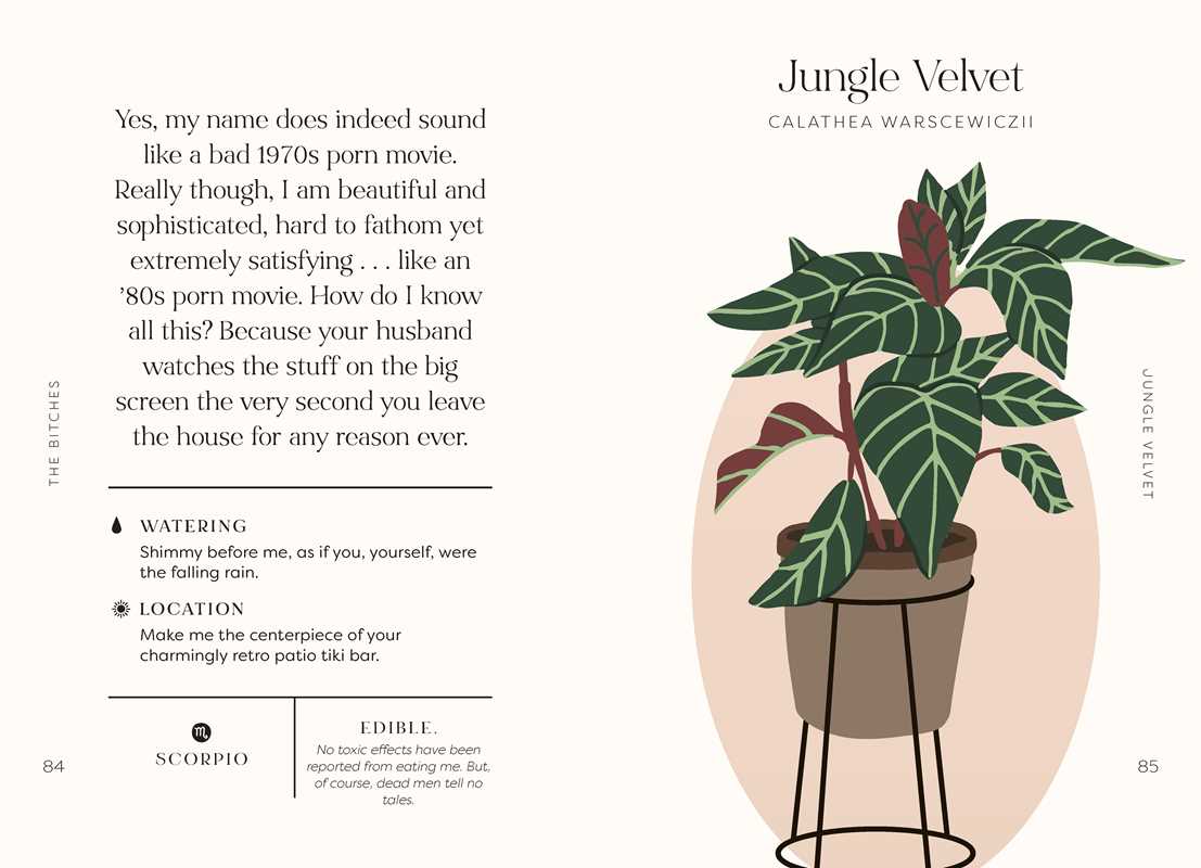 Houseplants and Their F*cked-Up Thoughts: P.S., They Hate You
