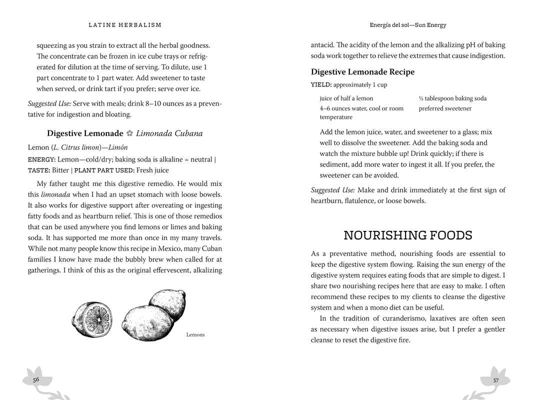 Latine Herbalism: A Beginner's Guide to Modern Curanderismo, Healing Plants, and Folk Traditions of the Americas