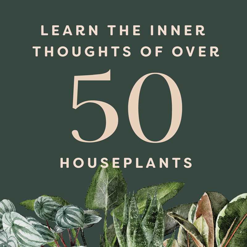 Houseplants and Their F*cked-Up Thoughts: P.S., They Hate You