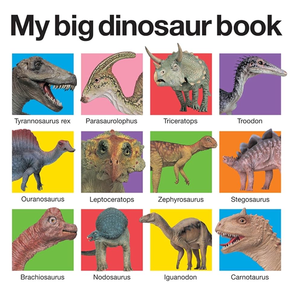 My Big Dinosaur Book (My Big Board Books) cover image