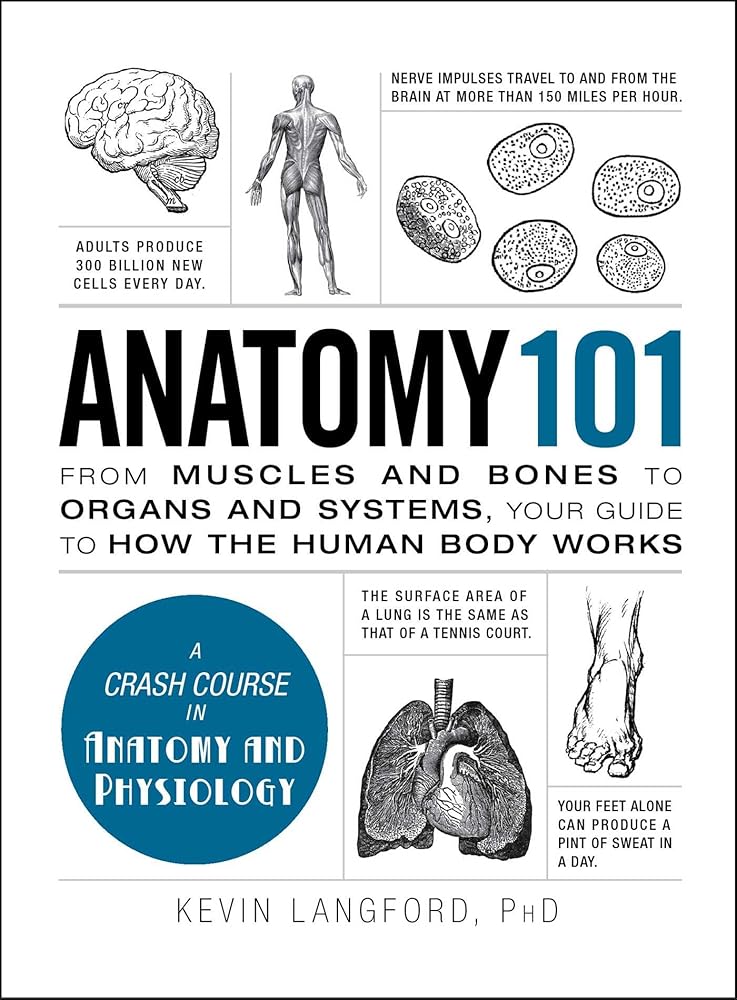 Anatomy 101: From Muscles and Bones to Organs and Systems, Your Guide to How the Human Body Works (Adams 101 Series) cover image