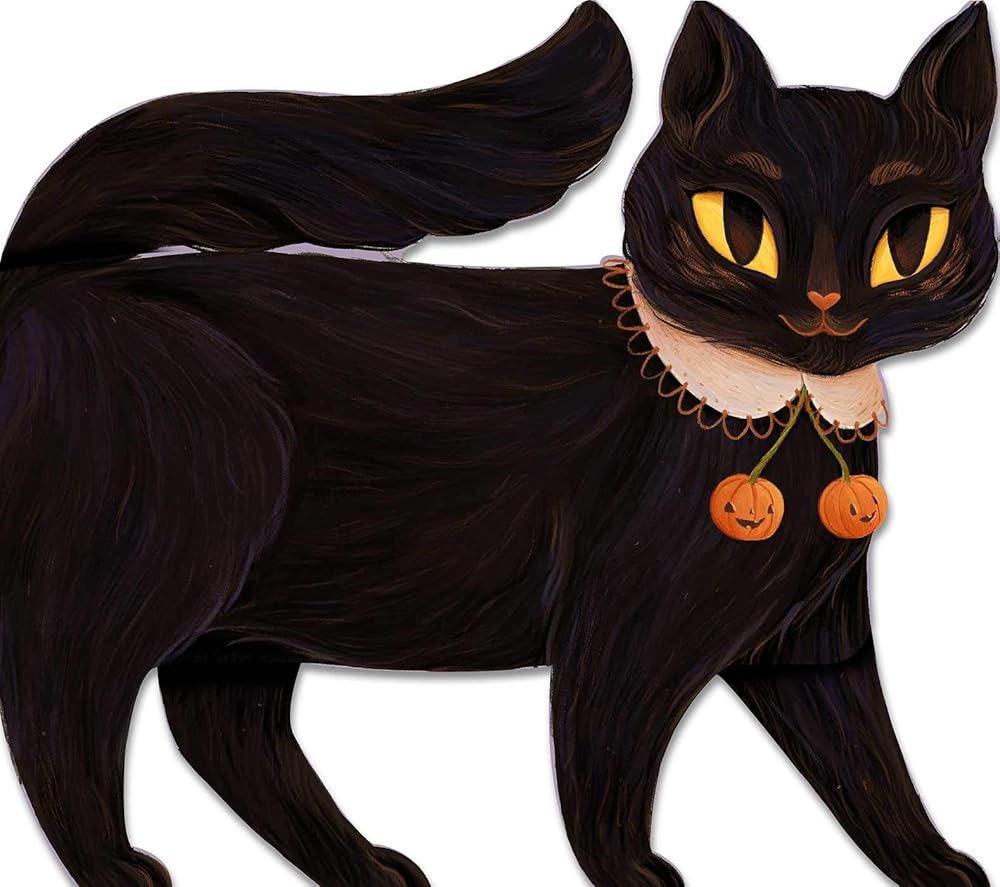 One Black Cat cover image