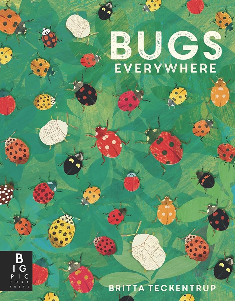 Bugs Everywhere (Animals Everywhere) cover image