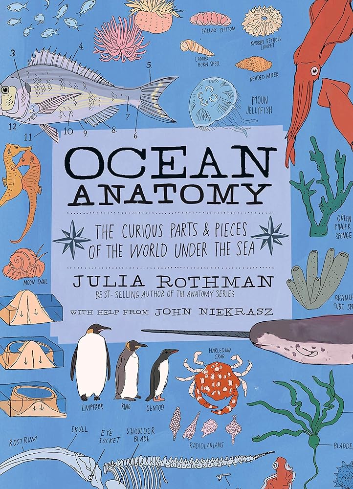 Ocean Anatomy: The Curious Parts & Pieces of the World under the Sea cover image