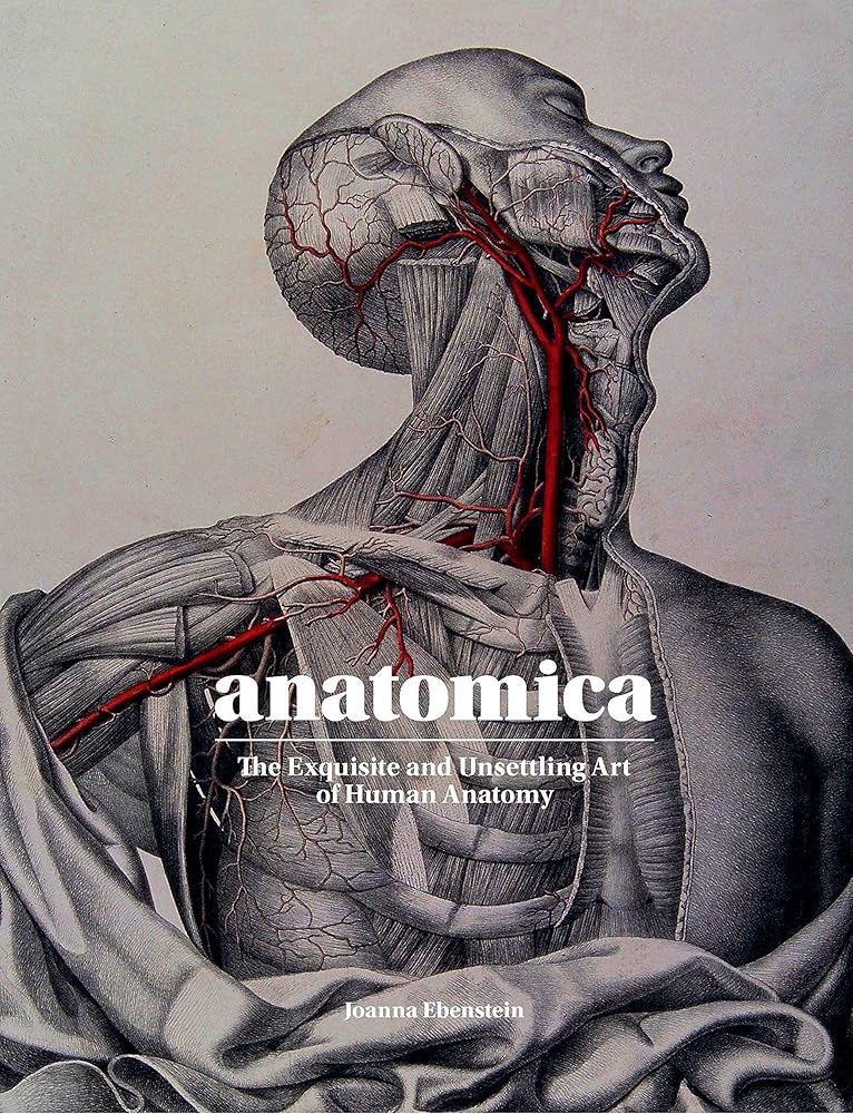 Anatomica: The Exquisite and Unsettling Art of Human Anatomy cover image