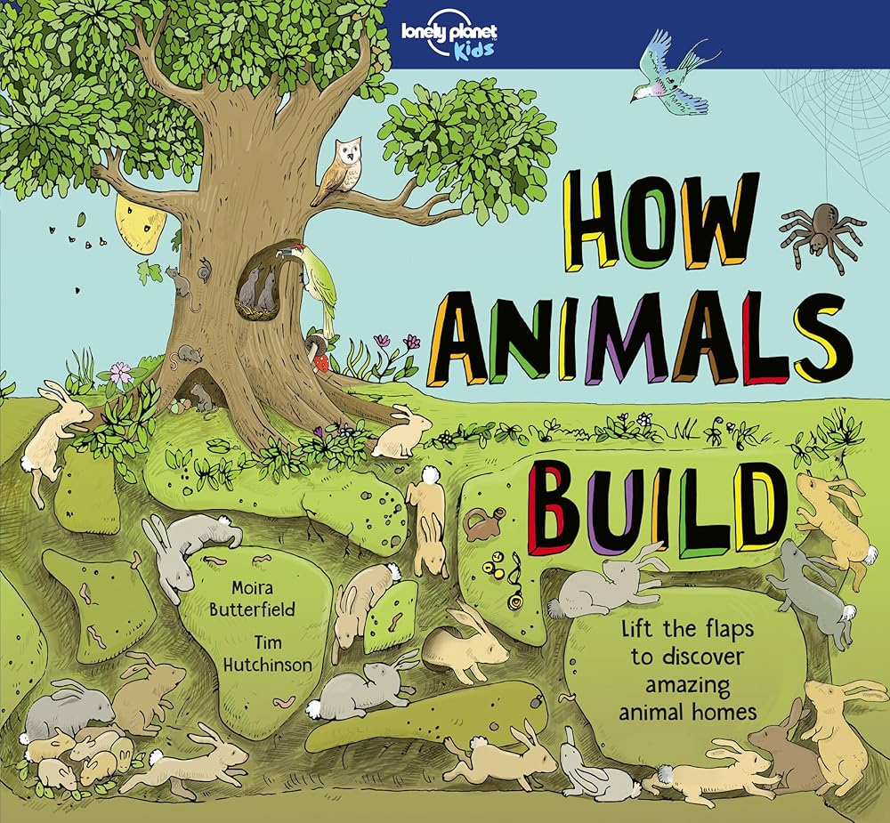 Lonely Planet Kids How Animals Build (How Things Work) cover image