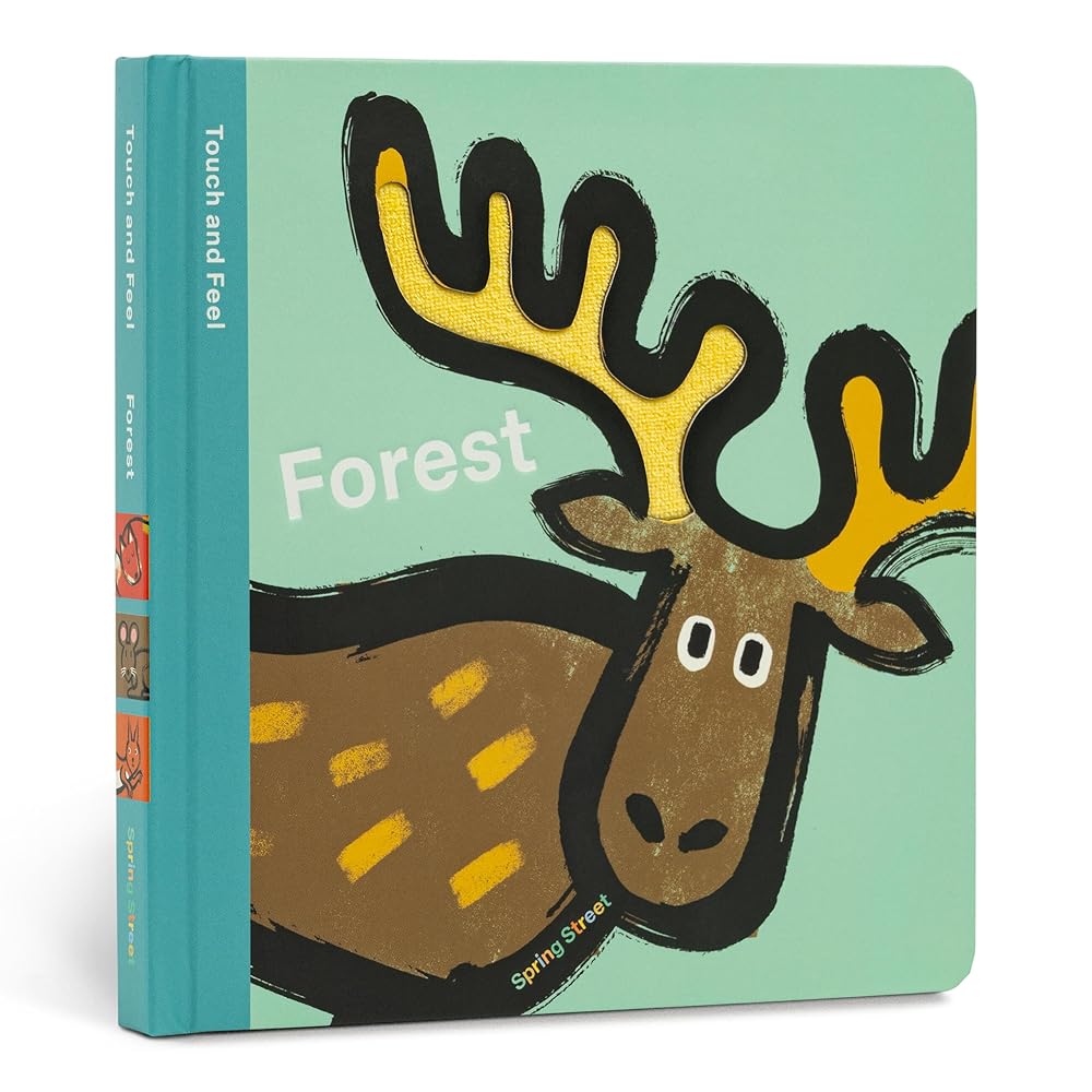 Spring Street Touch and Feel: Forest cover image