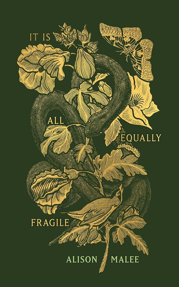 It Is All Equally Fragile cover image