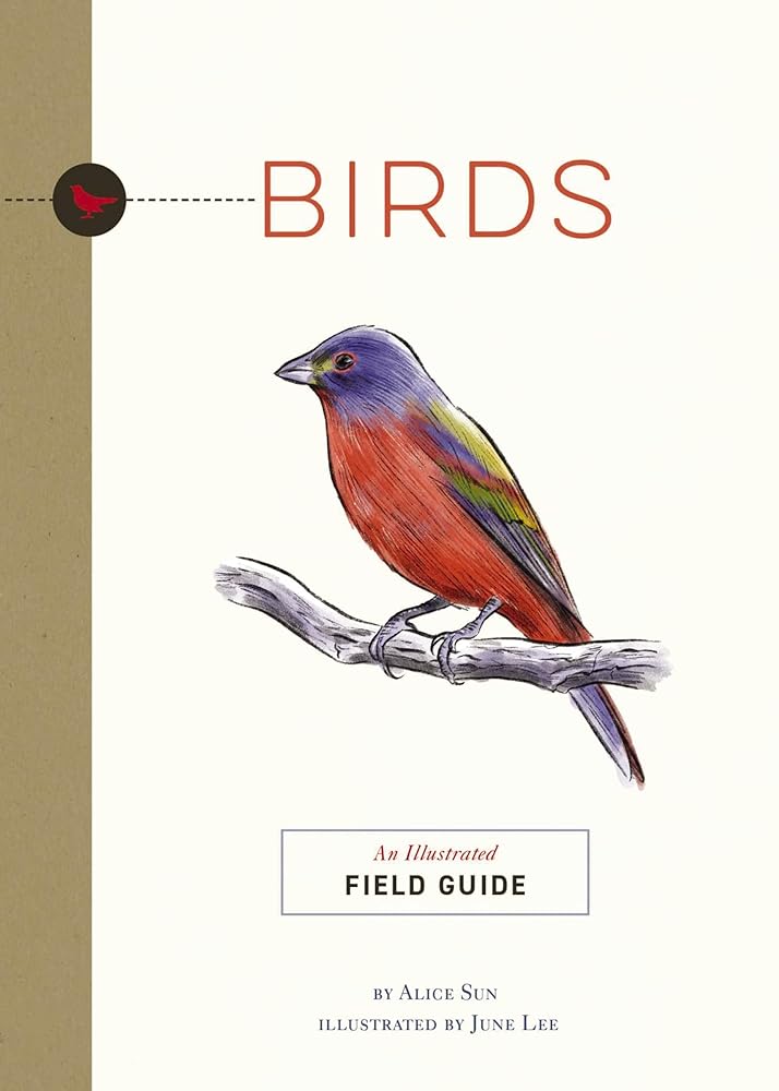 Birds: An Illustrated Field Guide cover image
