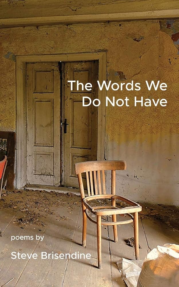 The Words We Do Not Have cover image