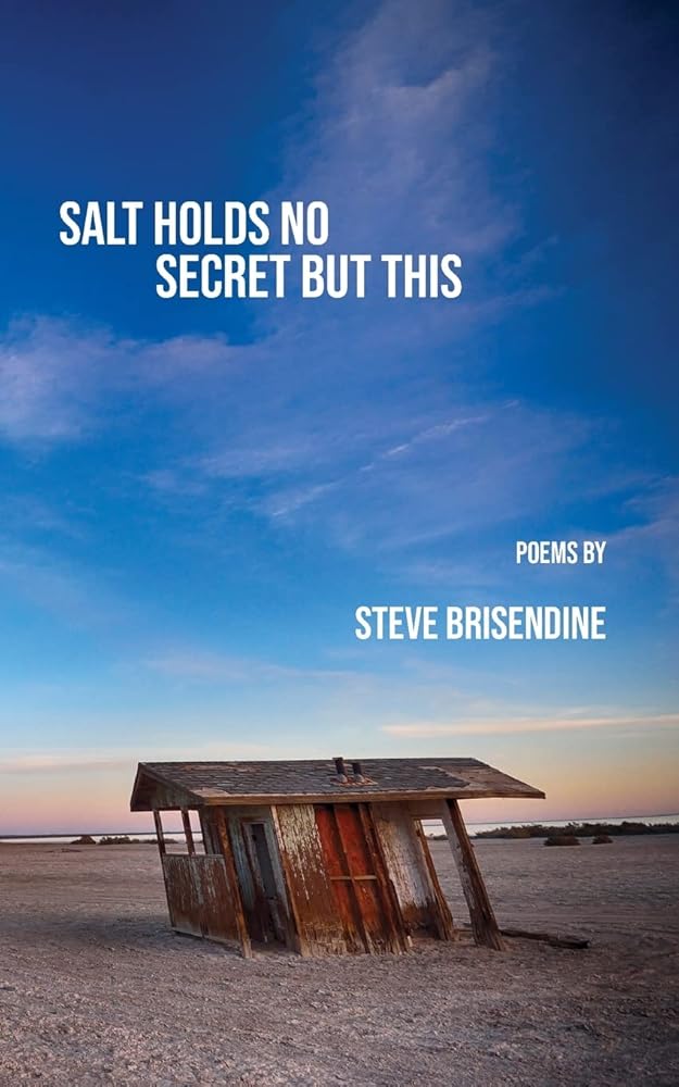 Salt Holds No Secrets But This cover image