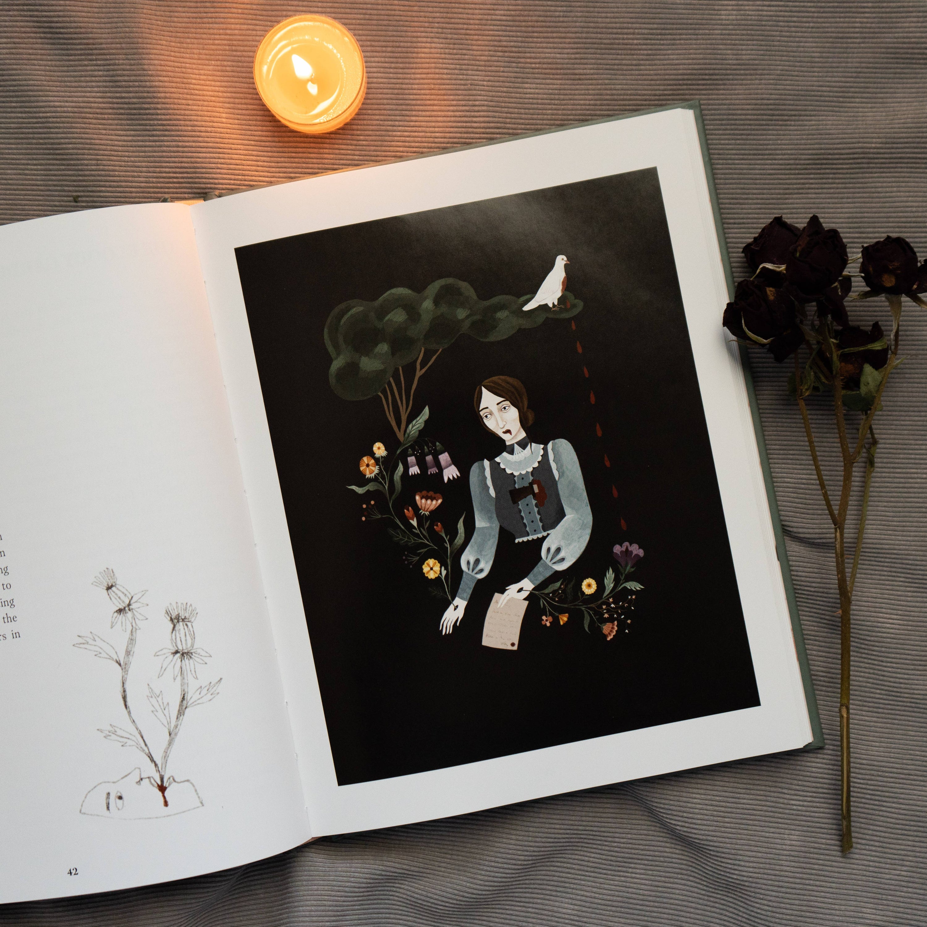 Murder Ballads: Illustrated Lyrics & Lore