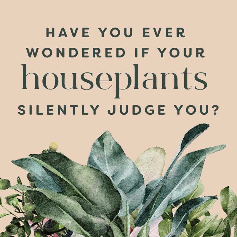Houseplants and Their F*cked-Up Thoughts: P.S., They Hate You
