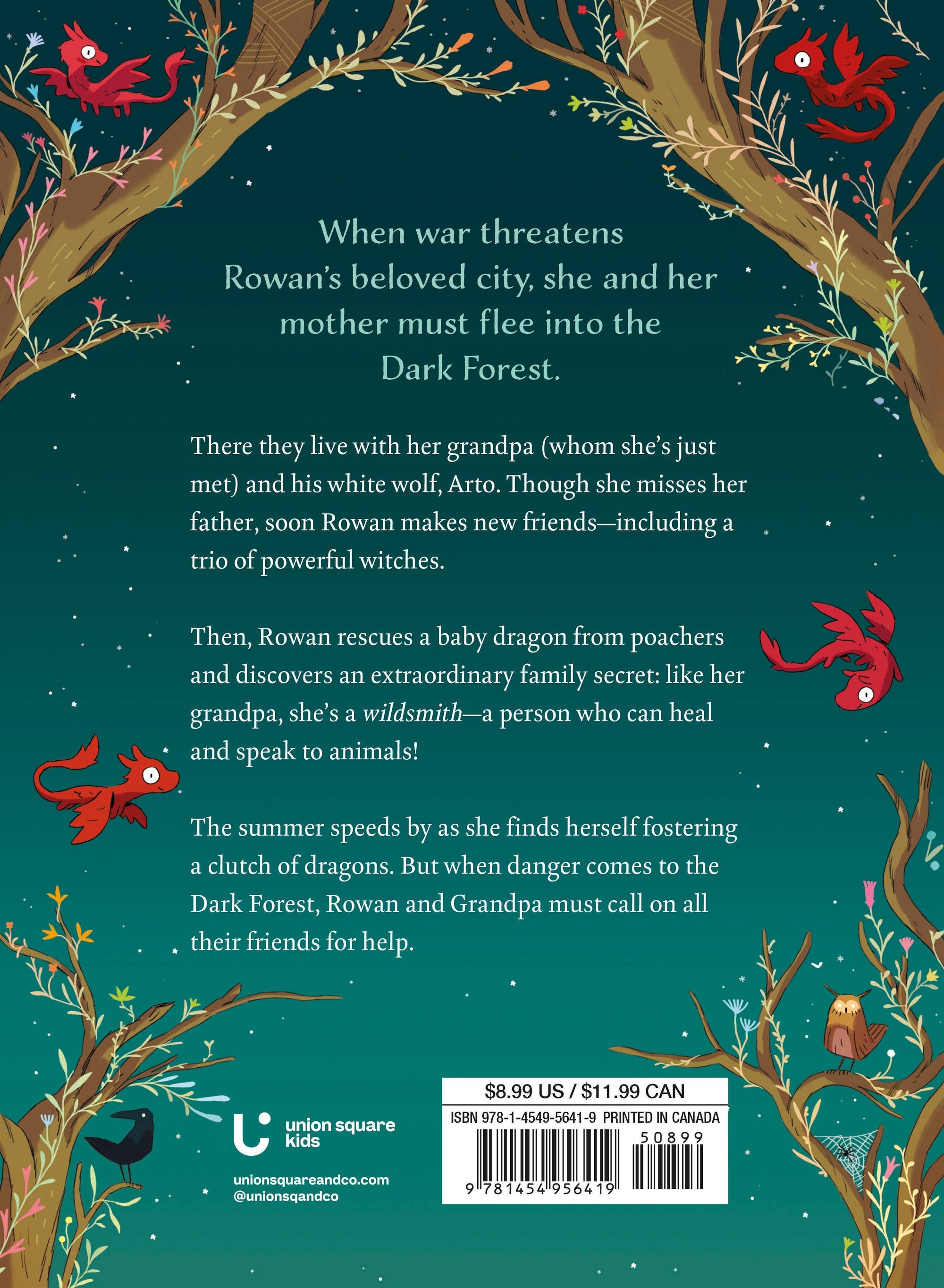 Into the Dark Forest: The Wildsmith #1
